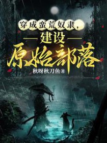 机战：全金属风暴